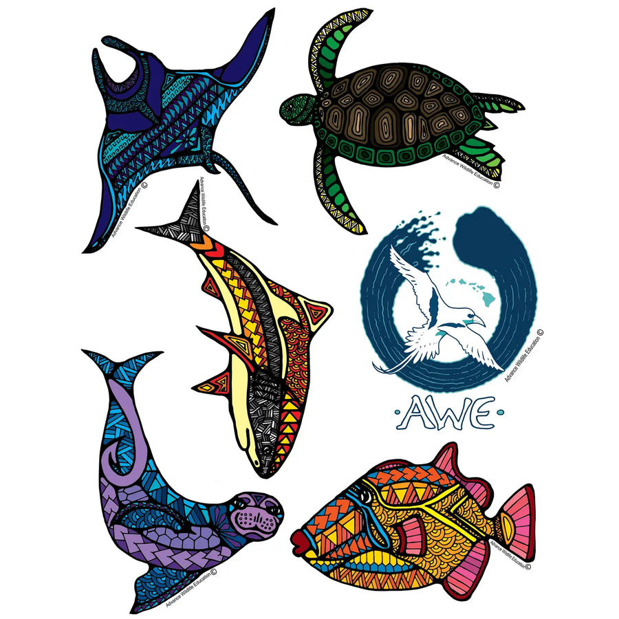 Educational coloring Books by Advanced Wildlife