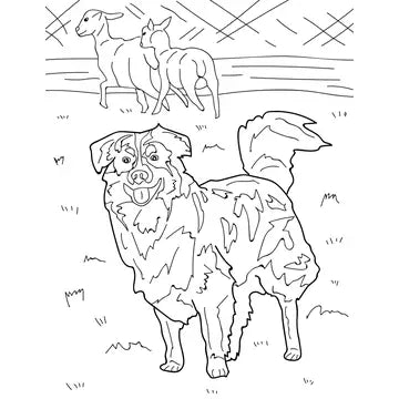 Dogs Educational Coloring Book