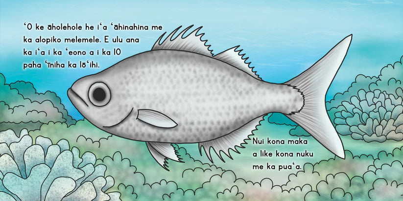 Hawaiian Language Board Books