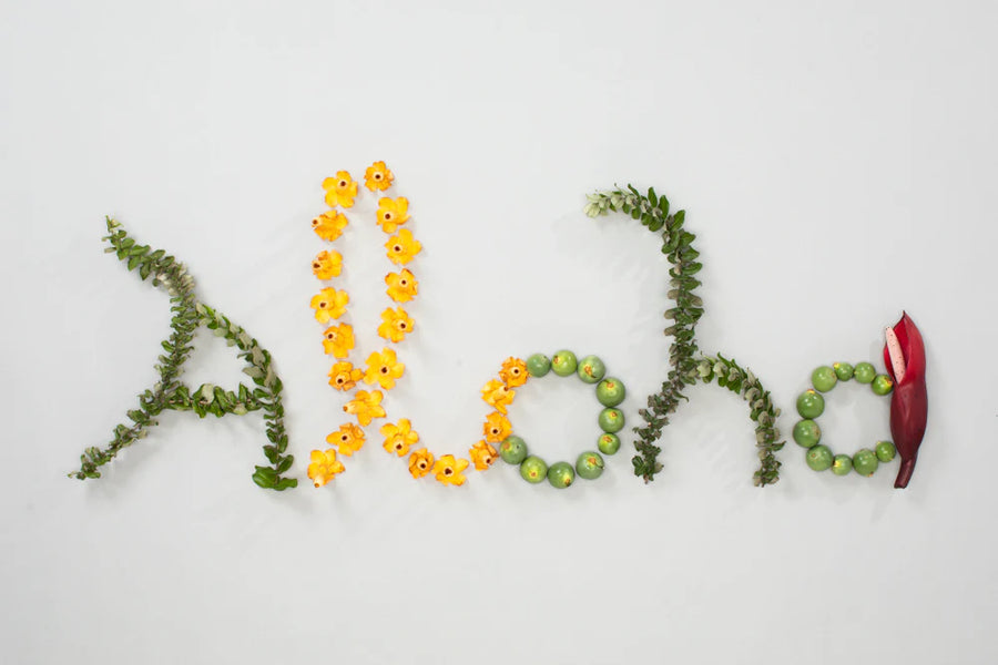 Aloha Greeting Card - 6 Pack