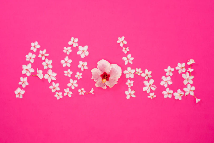 Aloha Greeting Card - 6 Pack