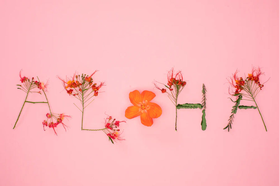 Aloha Greeting Card - 6 Pack