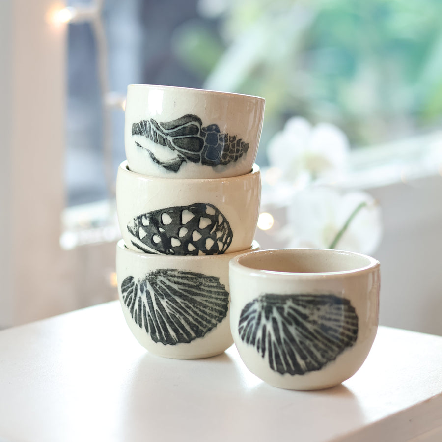Pūpū Collection by Pot Head Kauaʻi