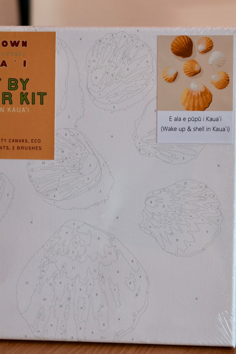 HTK Paint by Number Kits 12* 12