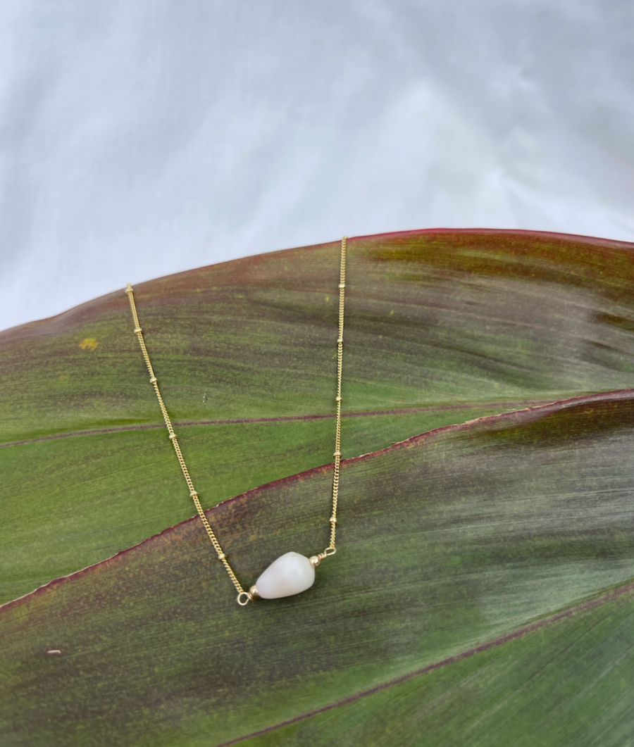 Cone shell anklet on dotted chain