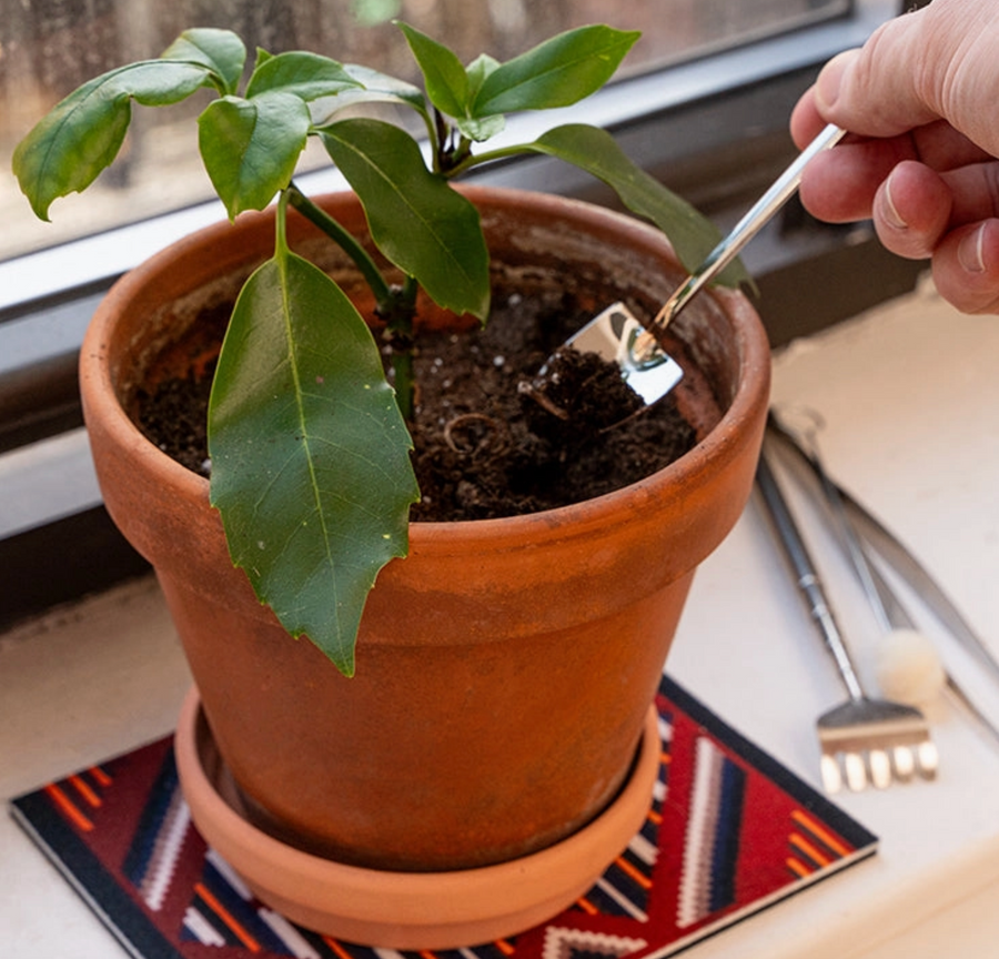 Mini Garden Tools
