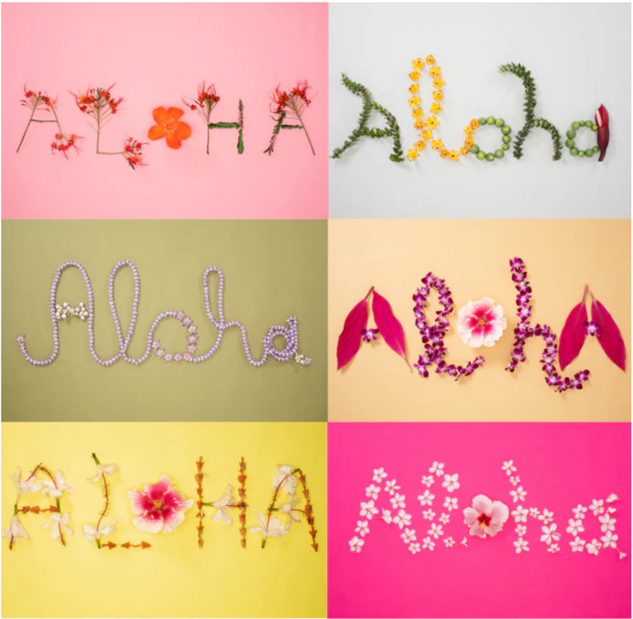 Aloha Greeting Card - 6 Pack