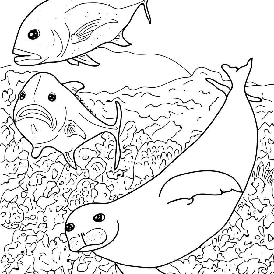 Marine Mammals Coloring Book