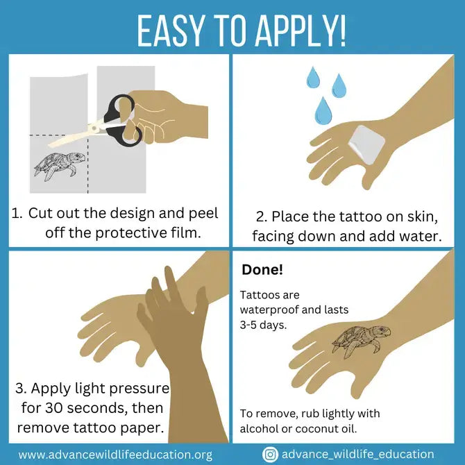 Shark Temporary Tattoo Sheet (Black)