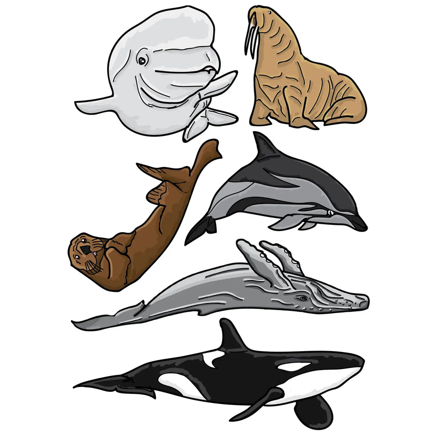 Marine Mammals Coloring Book