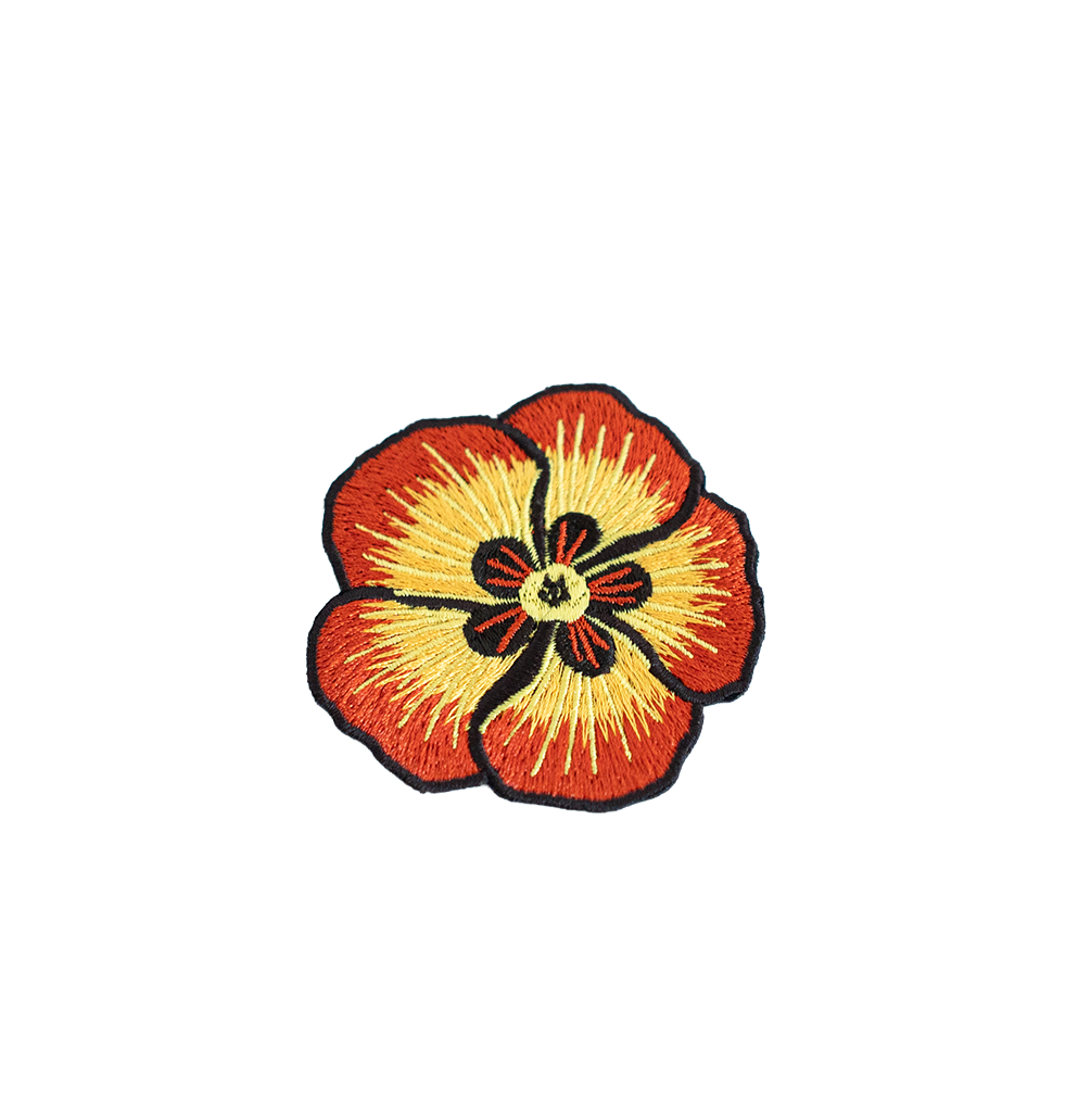 Zoom