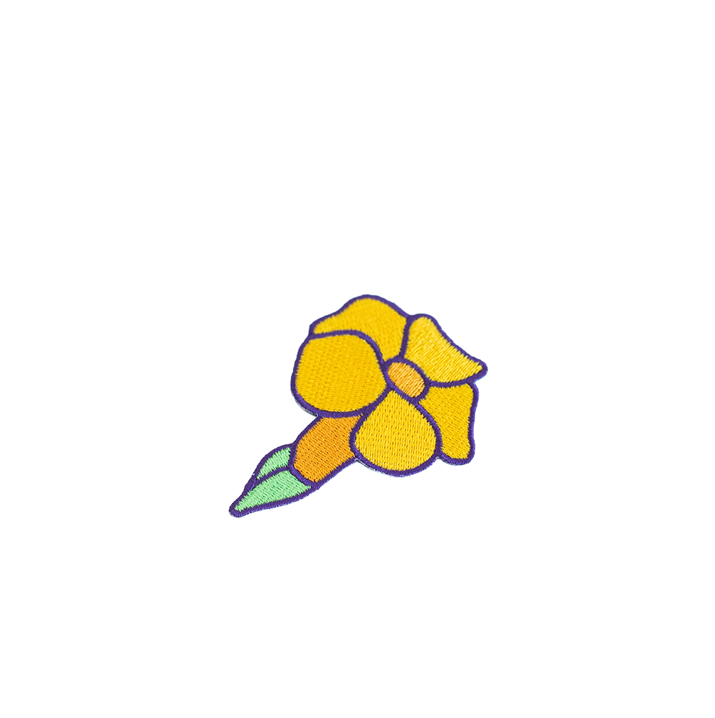 Zoom