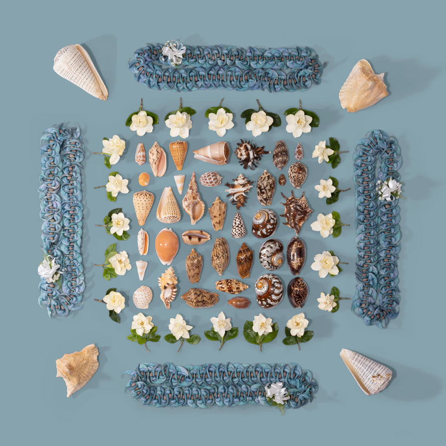 Print Collection by Lola Pilar